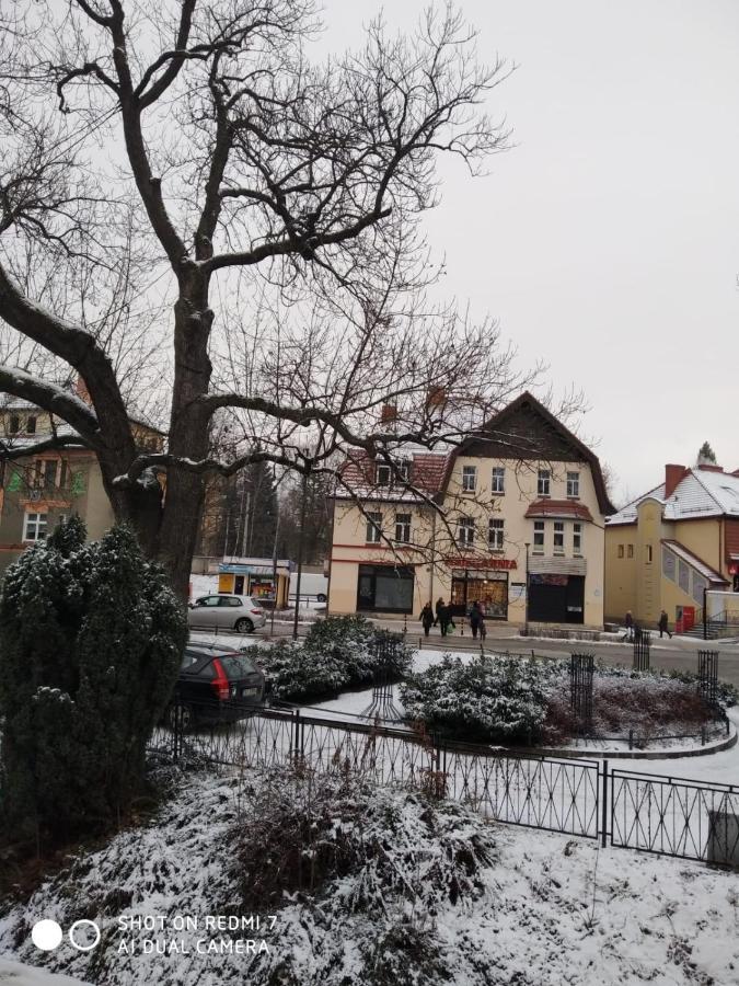 Apartment Rodzinny Hana Bad Kudowa